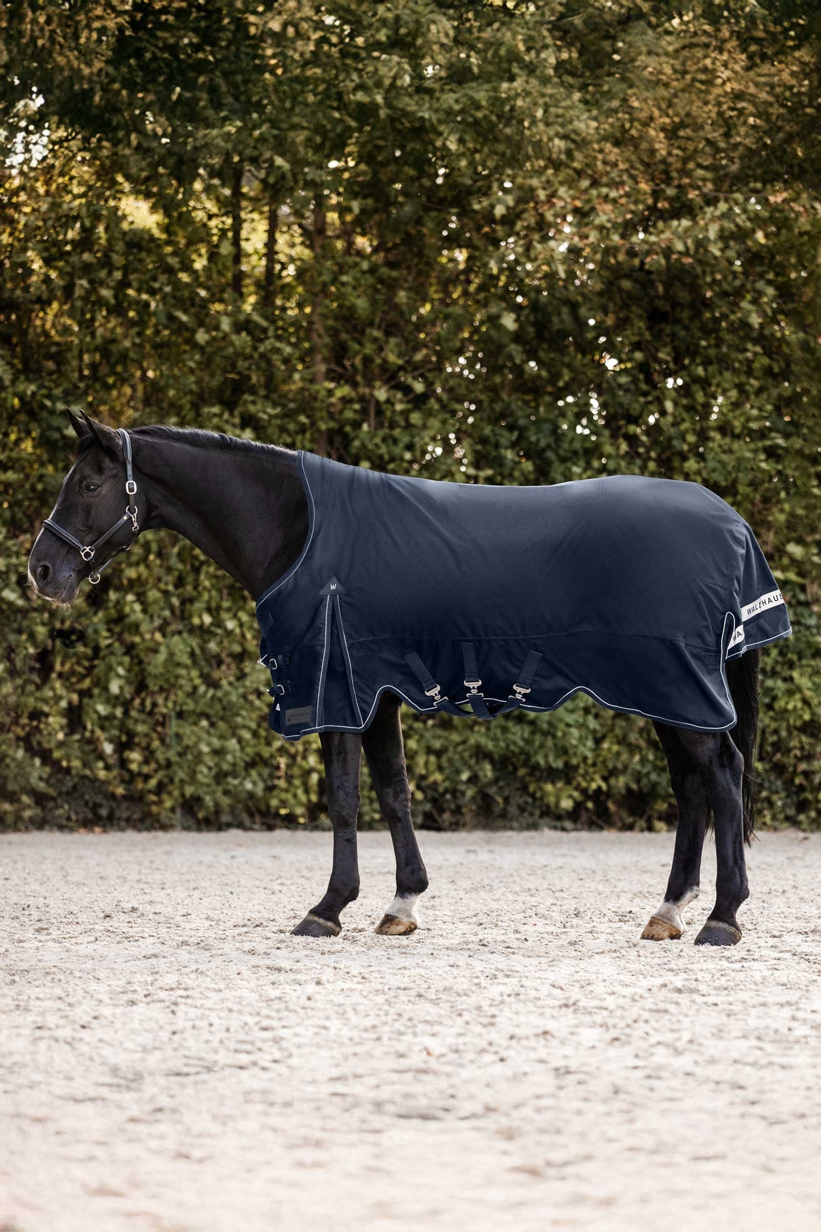 Waldhausen Scandic Výběhové deky s vysokým krkem, 200 g Horse Rugs