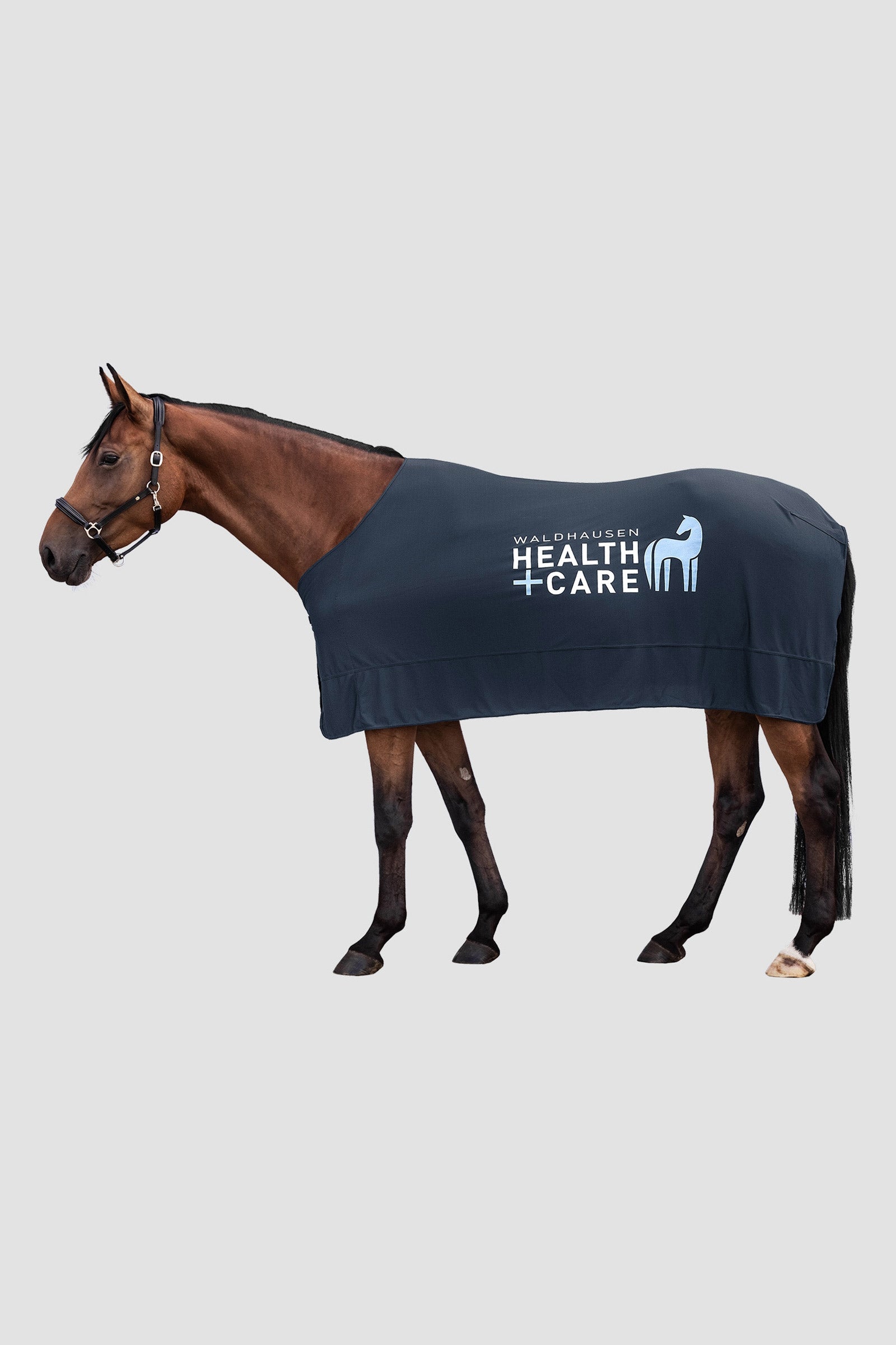 Waldhausen W-Health & Care Ice Layer Chladící přikrývka Horse Rugs