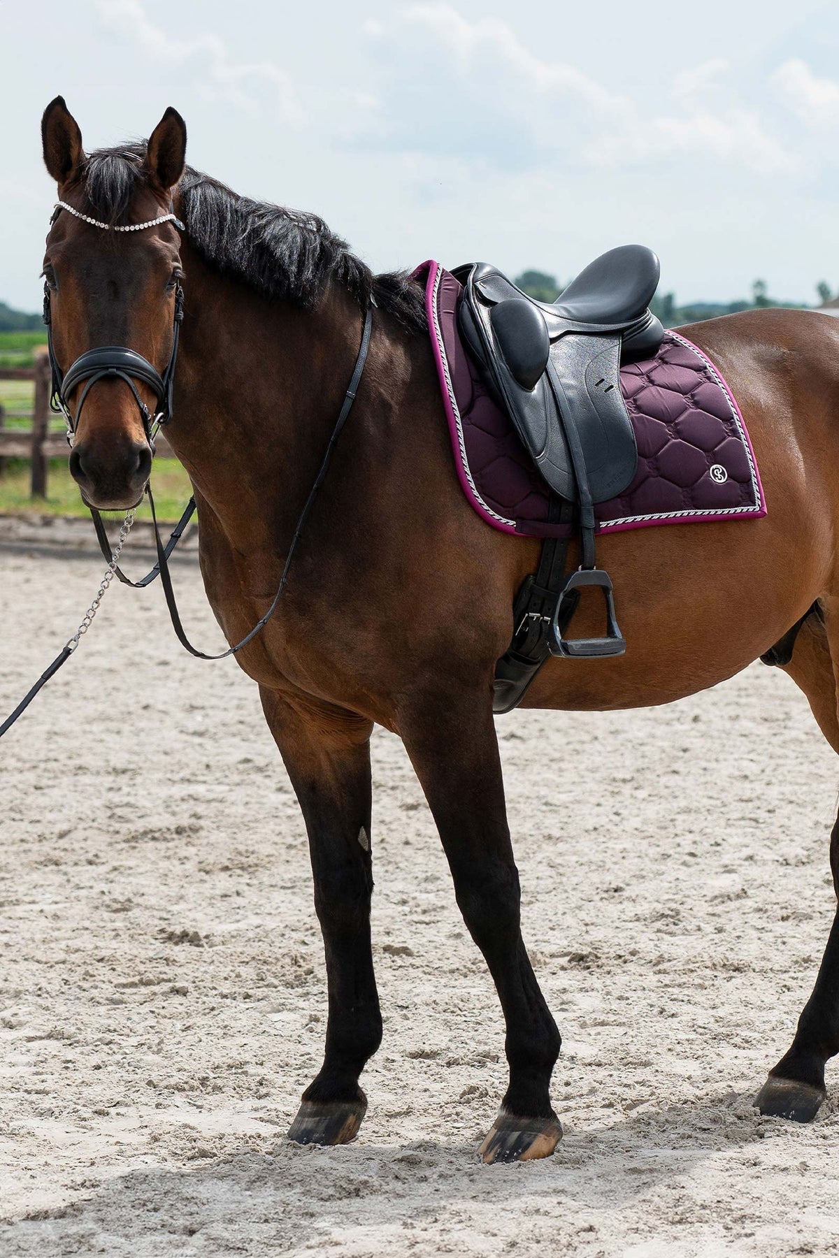 PS of Sweden Saddle Pad Dressage Signature Saddle Pads