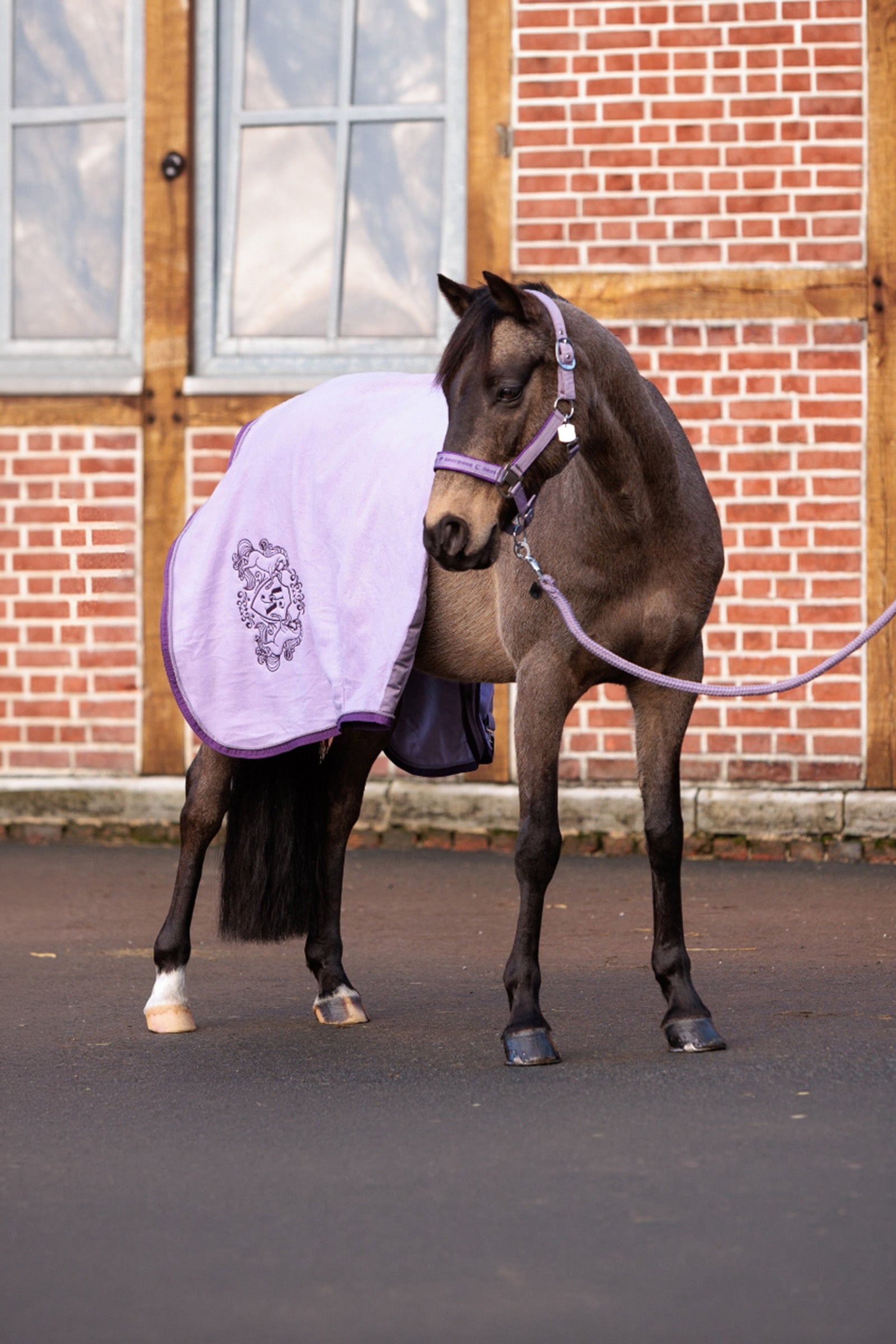 Kavalkade Unicorn Academy fleecová odpocovací deka se zierkordelí Horse Rugs