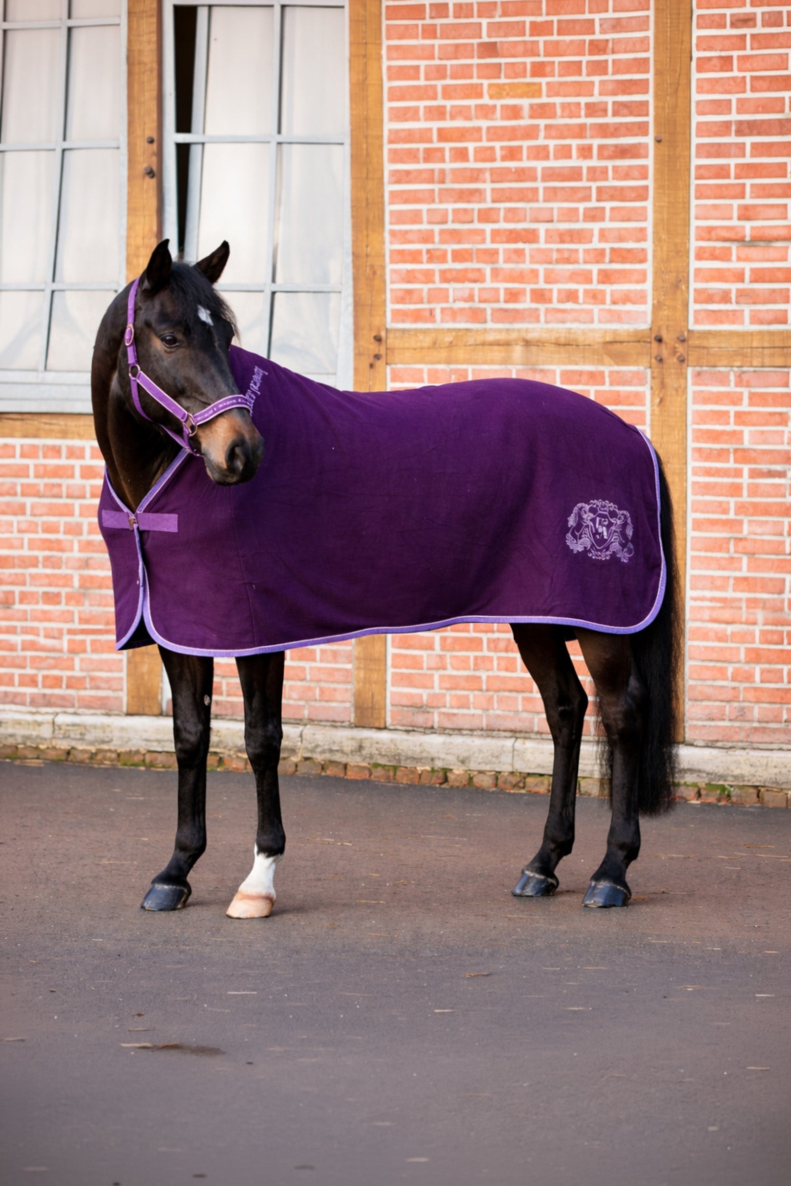 Kavalkade Unicorn Academy Fleece Cooler With Cord Horse Rugs