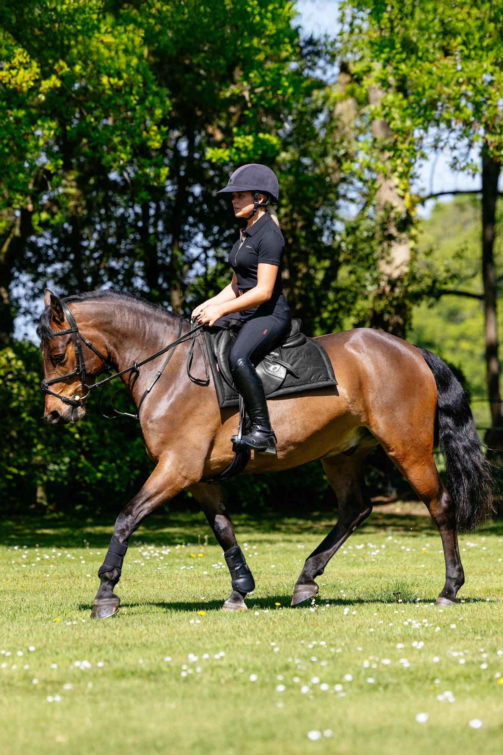 LeMieux Pillow Cushioned All Purpose Saddle Pad Saddle Pads